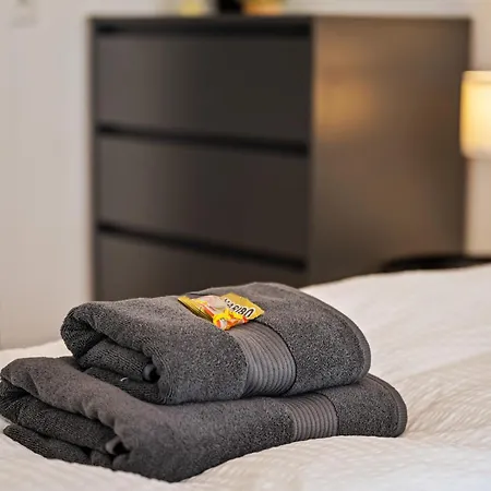 Modernes Appartementhaus Mit Self-checkin Im Herzen Der Stadt Appartement Bad Kissingen